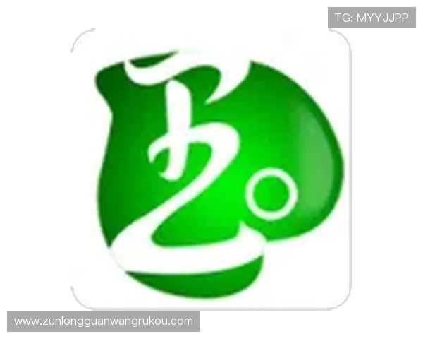 尊龙网站入口最新官方登录地址，确保安全稳定的访问体验