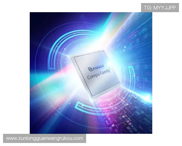 Z6尊龙网址娱乐平台稳定安全的登录平台，保障玩家账号信息安全