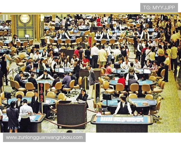 尊龙凯时九游娱乐真人平台提供最优质的在线博彩体验，享受安全可靠的娱乐环境