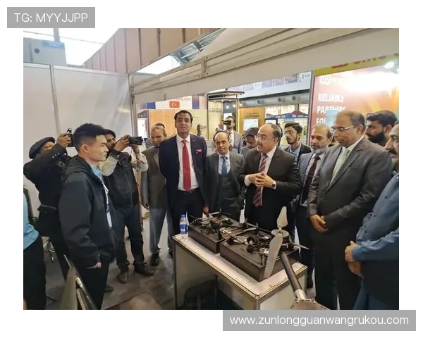 尊龙z6集团：在全球市场中的竞争优势与未来发展方向探讨