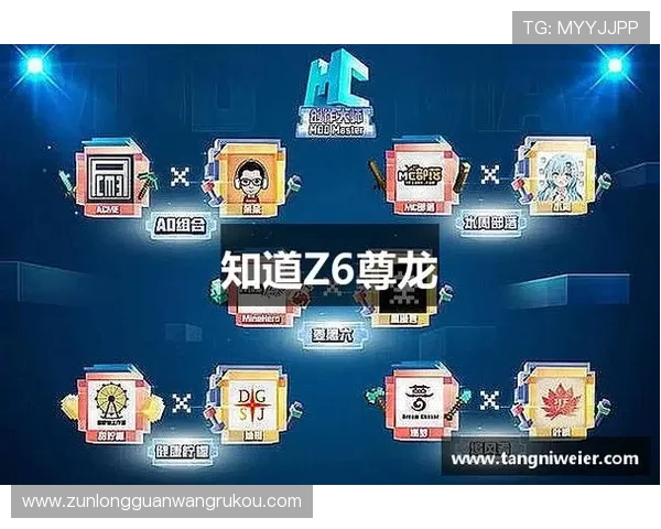 d88尊龙z6中国官方平台提供最权威的游戏介绍、注册流程及安全支付保障措施