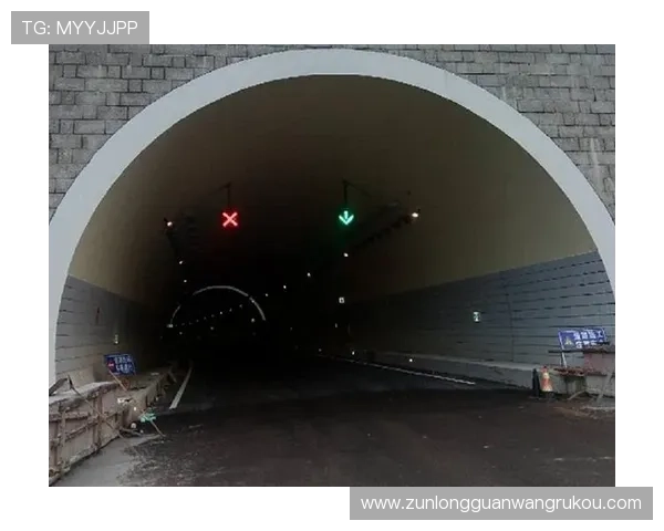 凯时66游戏攻略大全新手必看提升胜率的实用技巧