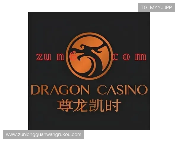 尊龙凯时z6安全登录入口的最新安全策略解析，保障玩家个人信息与财产安全