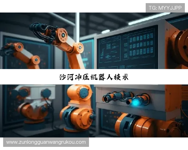 深度解读z6尊龙凯时的功能特点与用户体验分享